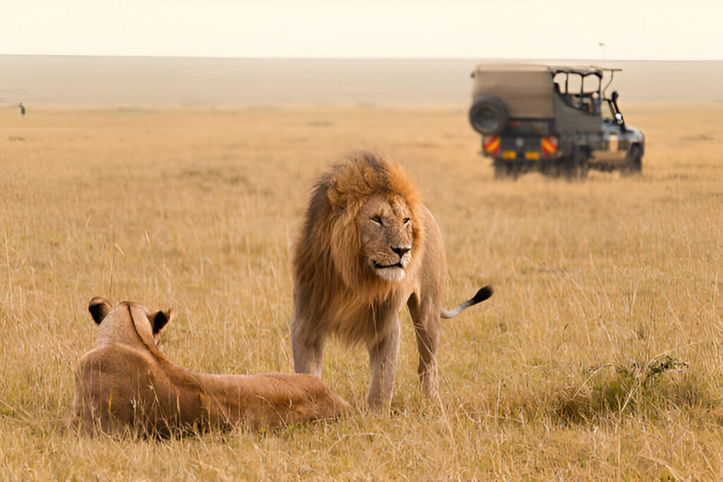 The Ultimate Kenyan Safari Adventure with Wasafiri Destinations