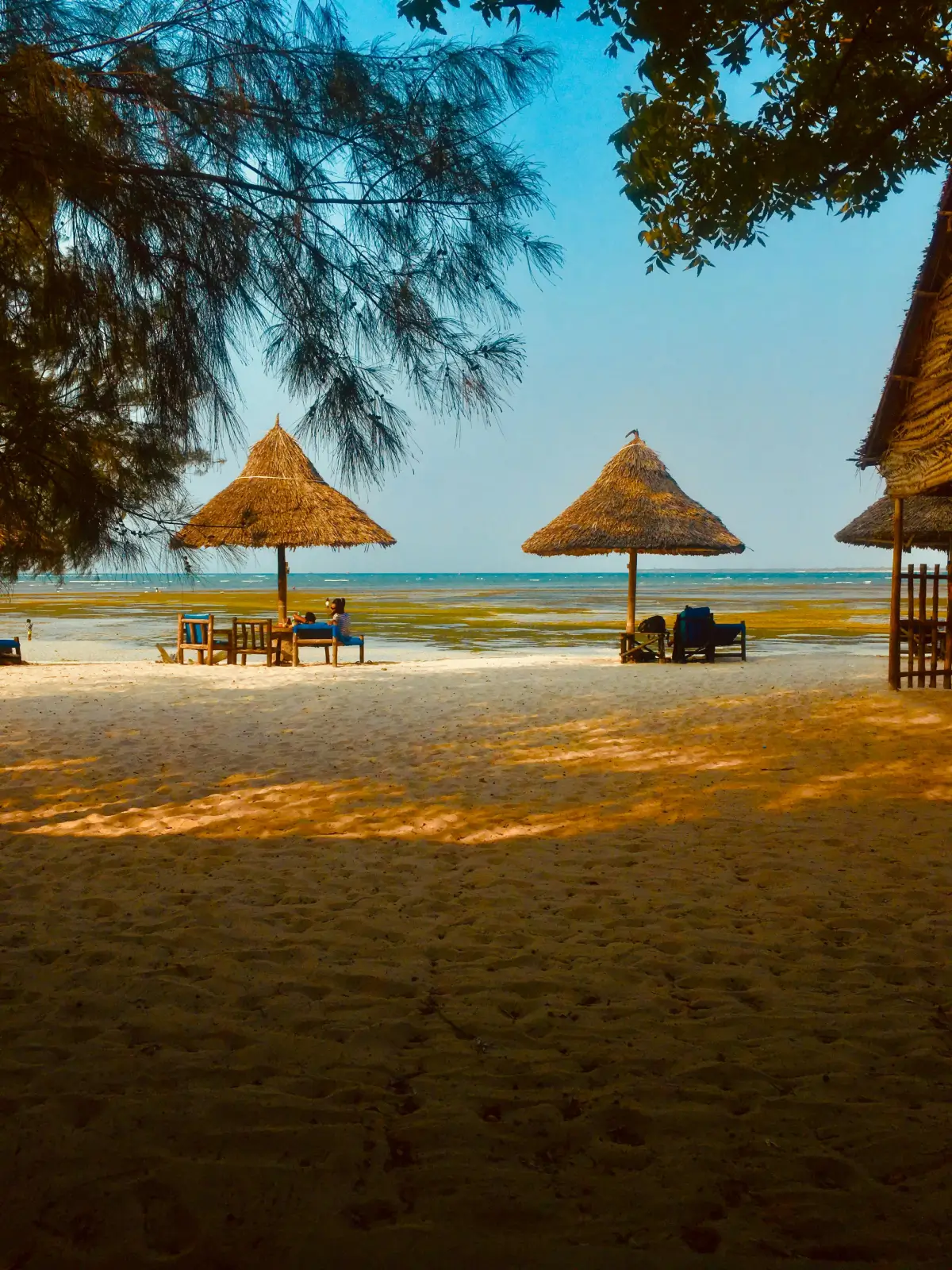 Zanzibar with Wasafiri Destinations